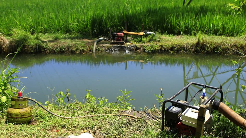 LPG subsidi 3kg menjadi bahan bakar mesin pompa air di area persawahan desa Lampanah Tunong, Indrapuri, Aceh Besar. Foto : Firhan Farabi/tirto.id Gas Subsidi untuk persawahan