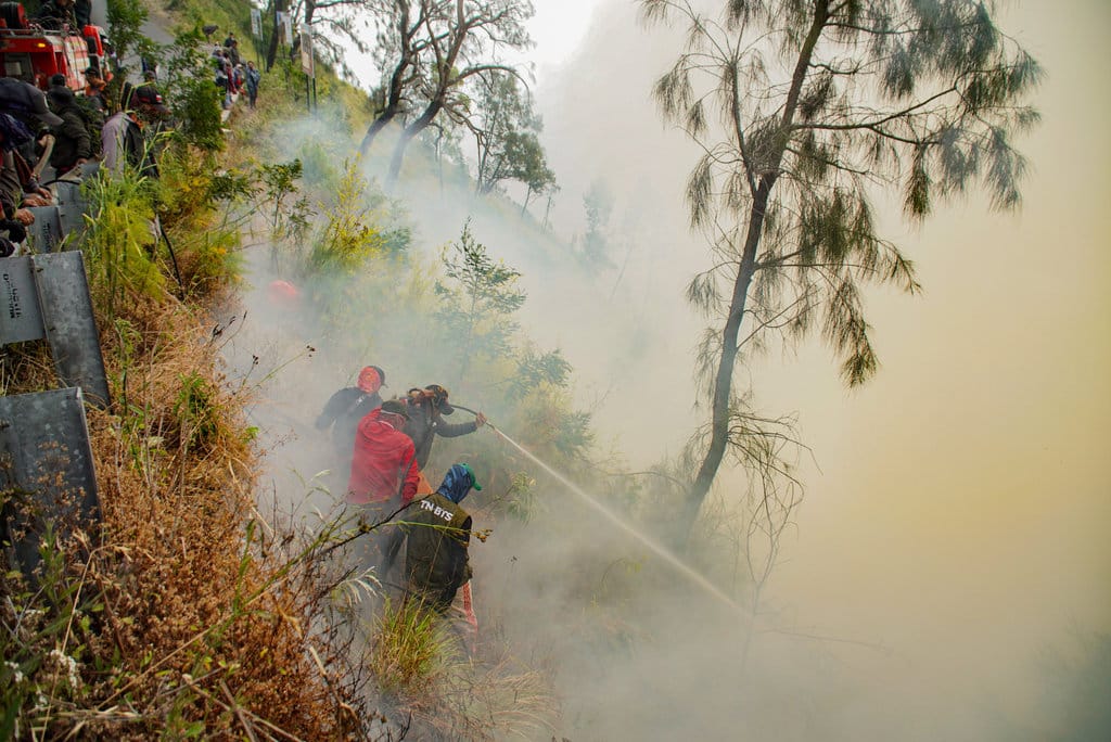 Sejumlah petugas berupaya memadamkan kebakaran hutan di Blok Bantengan, kawasan Taman Nasional Bromo Tengger Semeru (TNBTS), Kabupaten Probolinggo, Jawa Timur, Selasa (4/8/2026). ANTARA FOTO/Irfan Sumanjaya/tom. Penanganan kebakaran hutan di kawasan Bromo