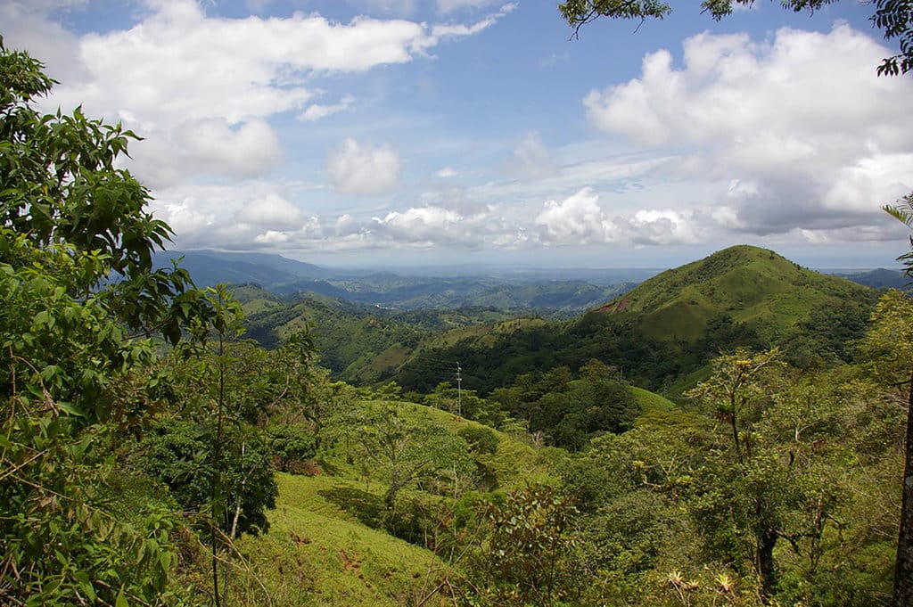 Hutan Reforestasi di Kosta Rika. wikijedia commons/Nao Iizuka Hutan Reforestasi Kosta Rika