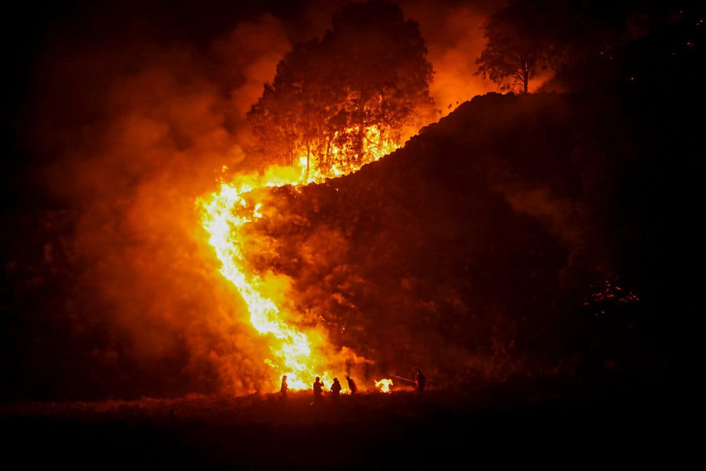 Petugas gabungan memantau kebakaran hutan di kawasan Taman Nasional Bromo Tengger Semeru (TNBTS), Kabupaten Pasuruan, Jawa Timur, Minggu (9/8/2026). ANTARA FOTO/Irfan Sumanjaya/agr Kebakaran hutan di kawasan TNBTS