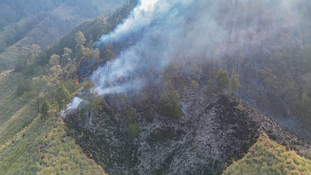 Foto udara kebakaran hutan di Tengger Semeru (TNBTS), Kabupaten Pasuruan, Jawa Timur, Senin (10/8/2026). Balai Besar TNBTS menutup seluruh akses masuk kawasan wisata Bromo sejak Sabtu (8/8/2026) pukul 22.00 WIB akibat perkembangan kebakaran hutan dan lahan, sebagai upaya menjaga keselamatan wisatawan serta mendukung proses penanganan kebakaran. ANTARA FOTO/Irfan Sumanjaya/nz Penutupan akses wisata Bromo akibat kebakaran