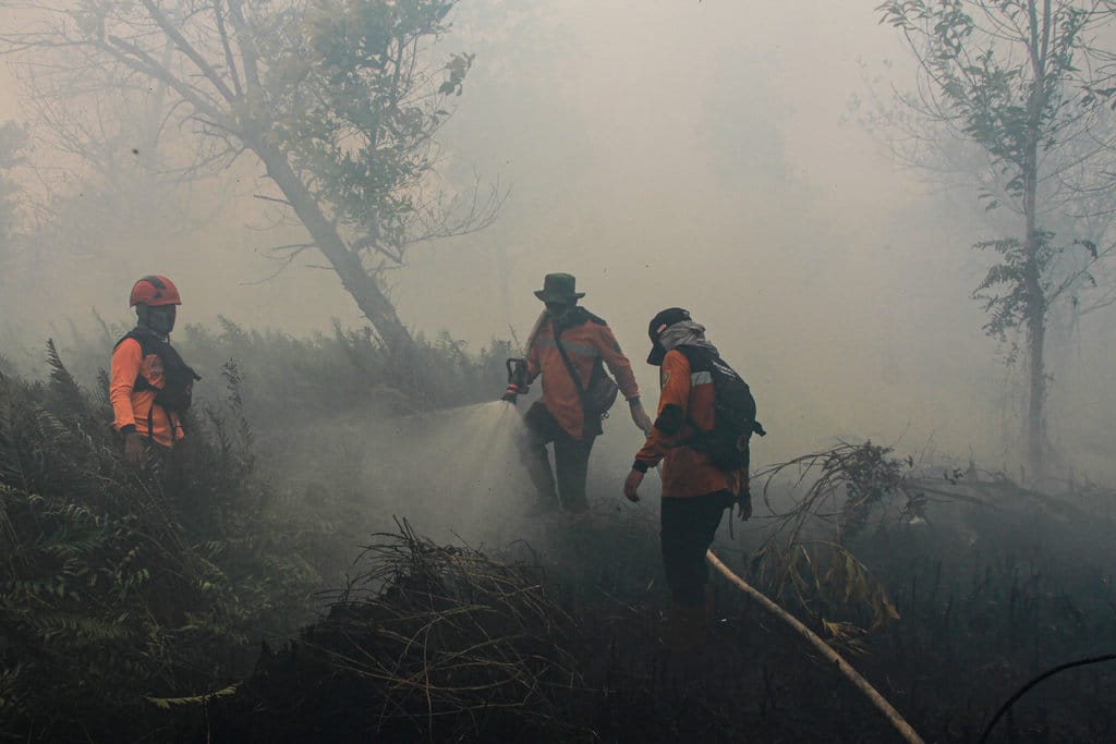 Petugas berupaya memadamkan kebakaran lahan di Petuk Katimpun, Palangka Raya, Kalimantan Tengah, Selasa (11/8/2026). Pemerintah kota setempat memberlakukan status tanggap darurat karhutla dan kekeringan yang berlaku mulai 11 Agustus hingga 8 September 2026 karena meluasnya kebakaran hutan dan lahan (karhutla) di Palangka Raya dan sulitnya memperoleh sumber air untuk pemadaman kebakaran lahan. ANTARA FOTO/Auliya Rahman/agr Status tanggap darurat karhutla dan kekeringan di Palangka Raya