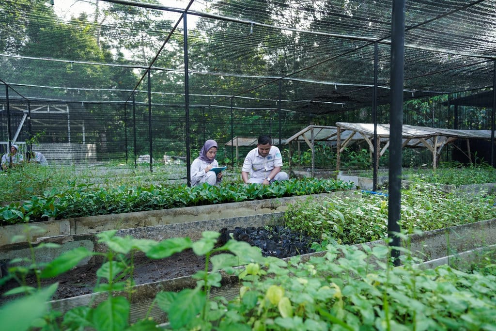 Program pengelolaan lingkungan di kawasan PLTA Batangtoru. FOTO/dok. NSHE Header NSHE