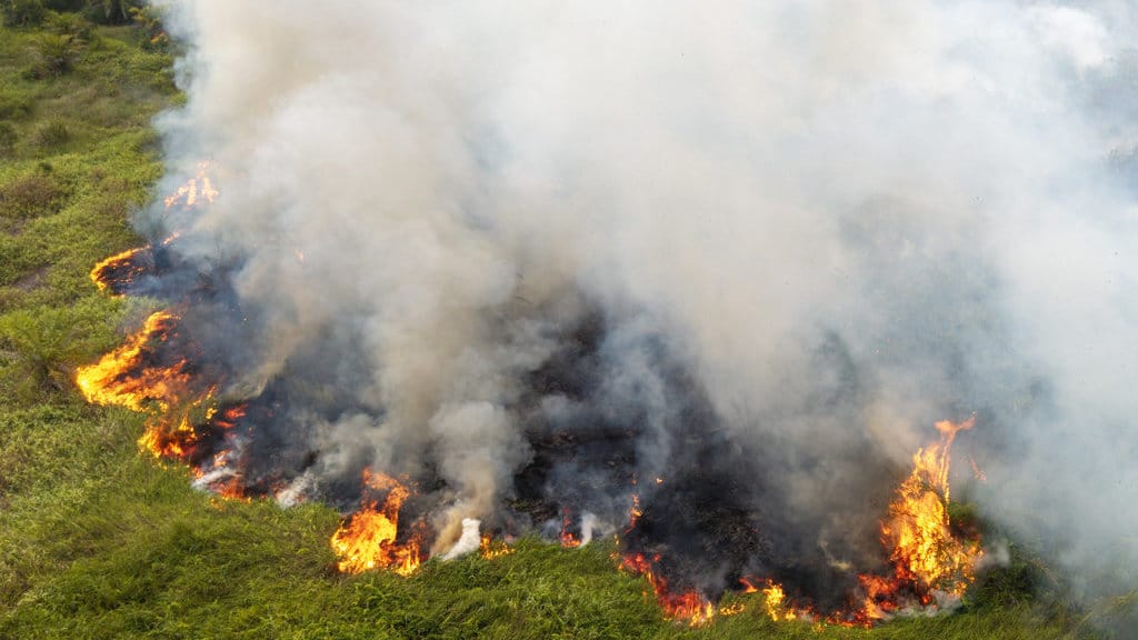 Foto udara api membakar lahan perkebunan kelapa sawit di Desa Sungai Rambutan, Kecamatan Indralaya Utara, Ogan Ilir (OI), Sumatera Selatan, Jumat (14/8/2026). Balai Pengendalian Kebakaran Hutan Wilayah Sumatera Kementerian Kehutanan mencatat luasan kebakaran hutan dan lahan (karhutla) di Sumatera Selatan periode Januari-Juli 2026 mencapai 1.926,2 hektare yang terdiri dari 1.857,7 hektare terjadi di lahan mineral dan 68,5 hektare di lahan gambut, sementara untuk menanggulangi karhutla di wilayah Sumatera Selatan itu dikerahkan sebanyak 16 regu personel Manggala Agni dari Sumsel serta dua regu BKO dari Jambi. ANTARA FOTO/Nova Wahyudi/YU Pemadaman kebakaran lahan perkebunan sawit di Sungai Rambutan