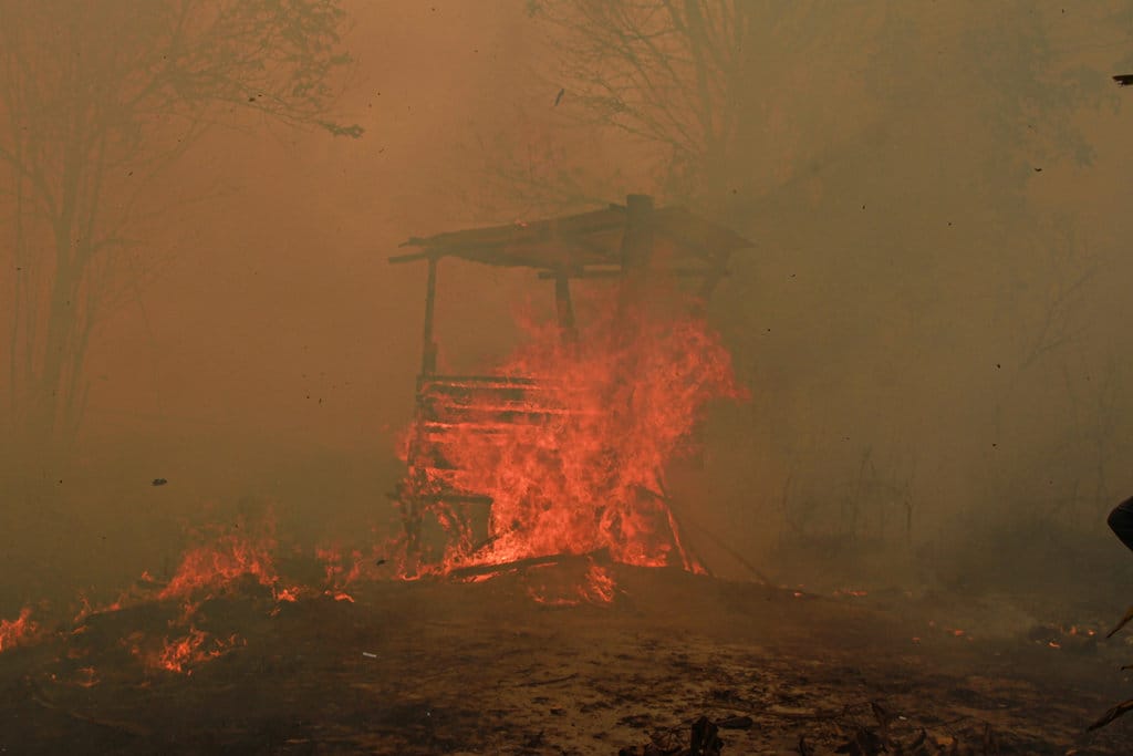 Api membakar sebuah pondok dari bambu di Kelurahan Sabaru, Palangka Raya, Kalimantan Tengah, Sabtu (15/8/2026). Petugas gabungan bersama warga setempat memadamkan kebakaran lahan yang mendekati kawasan permukiman dengan mengandalkan sumber air dari sumur bor rumah warga, drainase, serta mobil tangki pemadam sehingga tidak sampai membakar rumah warga. ANTARA FOTO/Auliya Rahman/wpa. Kebakaran lahan di Palangka Raya mendekati perumahan warga