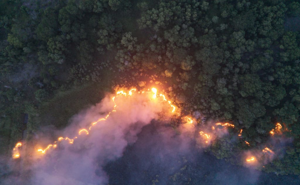 Api membakar lahan di Karya Jaya, Kecamatan Kertapati, Palembang, Sumatera Selatan, Selasa (11/8/2026). Petugas dari Manggala Agni Sumatera XVI-Lahat masih berupaya melakukan pemadaman di daerah tersebut. ANTARA FOTO/Nova Wahyudi/bar Kebakaran lahan di Kertapati Palembang
