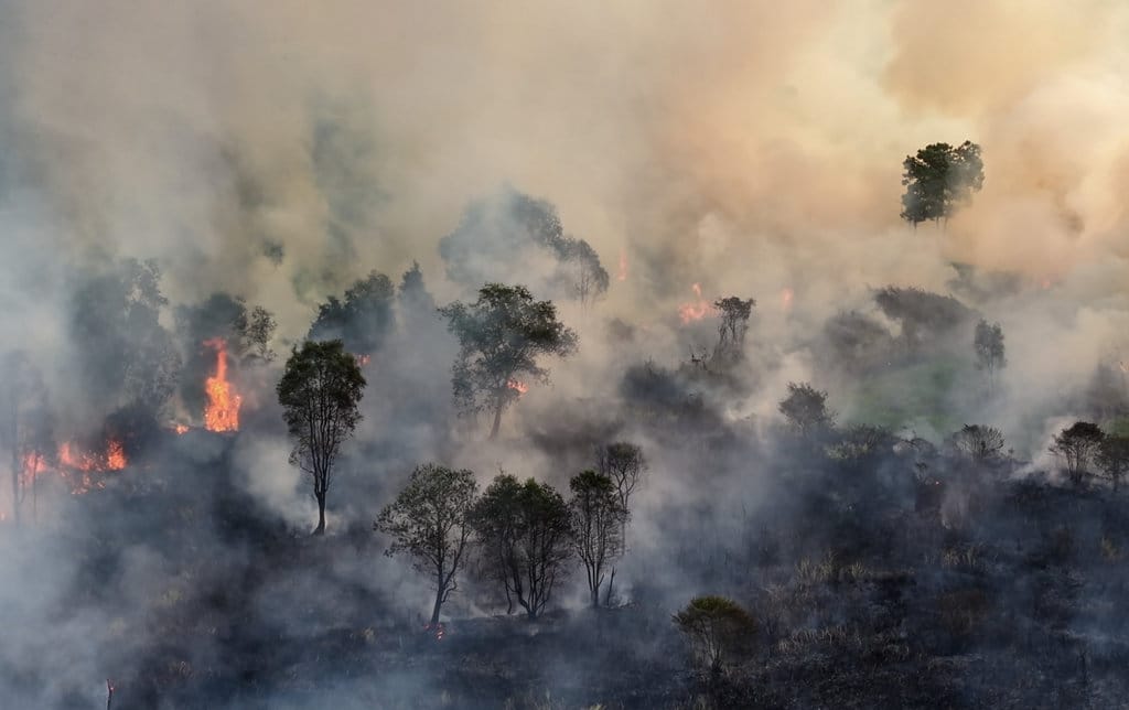Api membakar lahan di Karya Jaya, Kecamatan Kertapati, Palembang, Sumatera Selatan, Selasa (11/8/2026). Petugas dari Manggala Agni Sumatera XVI-Lahat masih berupaya melakukan pemadaman di daerah tersebut. ANTARA FOTO/Nova Wahyudi/bar Kebakaran lahan di Kertapati Palembang