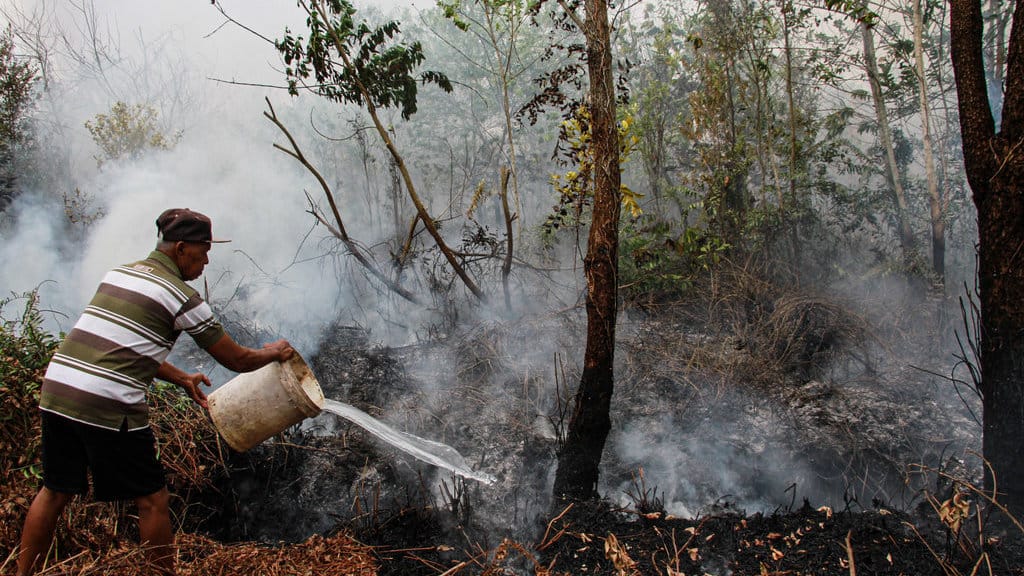 Seorang warga berupaya memadamkan Kebakaran lahan di Kelurahan Kereng Bangkirai, Palangka Raya, Kalimantan Tengah, Senin (24/8/2026). Badan Penanggulangan Bencana Daerah (BPBD) Kota Palangka Raya mencatat luas kebakaran hutan dan lahan (karhutla) mencapai 422,91 hektare dalam 325 kejadian sejak penetapan status siaga darurat pada 1 Juni hingga 23 Agustus 2026. ANTARA FOTO/Auliya Rahman/tom. Luasan karhutla di Palangka Raya