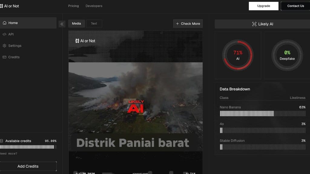 AI or Not: gambar karhutla di Paniai terbukti hasil manipulasi AI. foto/AIornot AI or Not