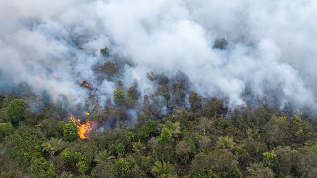 Foto udara kebakaran lahan gambut di Desa Kota Bumi, Kecamatan Tanjung Lubuk, Kabupaten Ogan Komering Ilir (OKI), Sumatera Selatan, Rabu (26/8/2026). ANTARA FOTO/Nova Wahyudi/kye Kebakaran lahan gambut di Tanjung Lubuk OKI