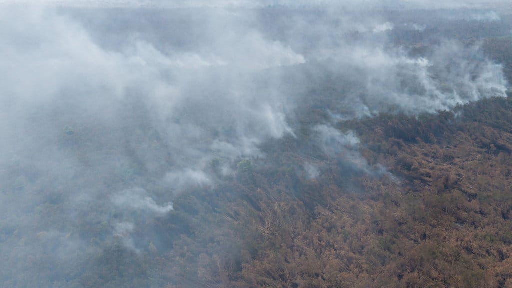 Foto udara asap membumbung tinggi dari kebakaran lahan gambut di Desa Kota Bumi, Kecamatan Tanjung Lubuk, Kabupaten Ogan Komering Ilir (OKI), Sumatera Selatan, Rabu (26/8/2026). ANTARA FOTO/Nova Wahyudi/kye Kebakaran lahan gambut di Tanjung Lubuk OKI