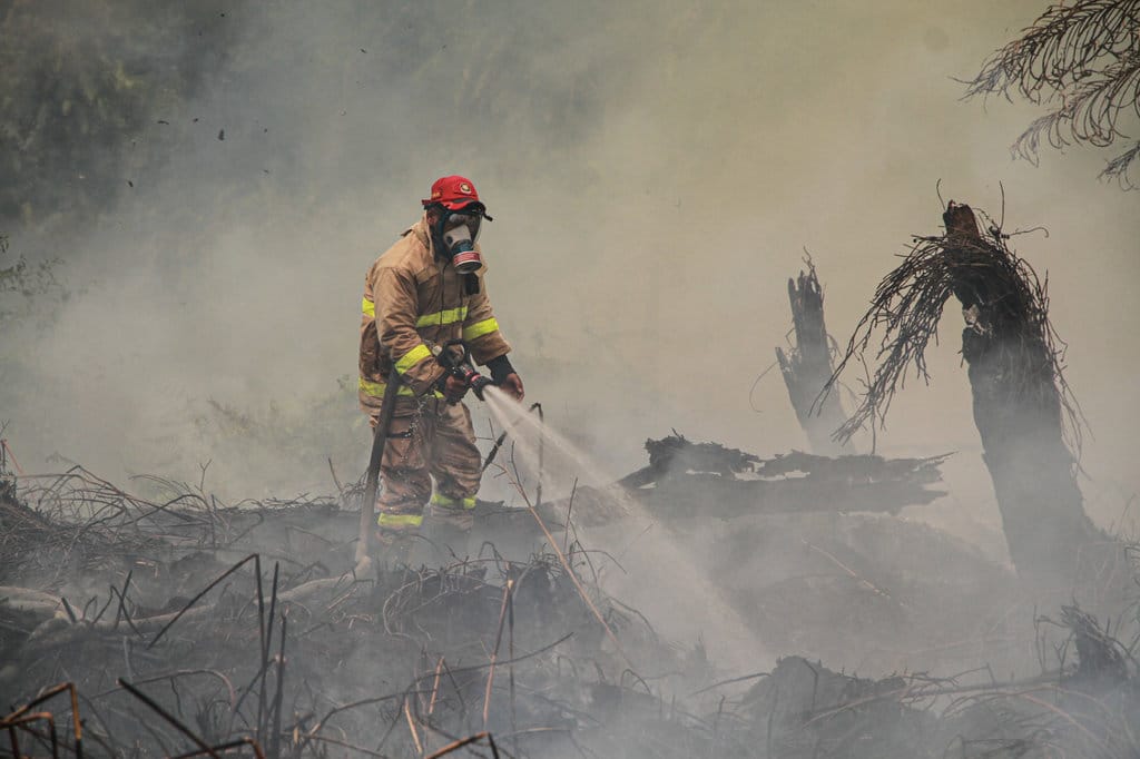 Petugas pemadam berupaya memadamkan kebakaran lahan di Kelurahan Panarung, Palangka Raya, Kalimantan Tengah, Rabu (26/8/2026). ANTARA FOTO/Auliya Rahman/kye Luas kebakaran hutan dan lahan di Kalimantan Tengah