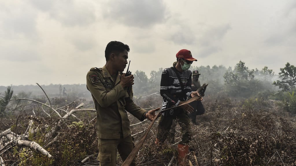 Petugas gabungan memadamkan kebakaran hutan dan lahan (karhutla) di lahan gambut Desa Rawasari, Tanjung Jabung Timur, Jambi, Rabu (26/8/2026). Upaya pemadaman di lahan gambut yang terjadi sejak Selasa (25/8) sore dan telah menghanguskan 7 hektare lahan itu terus dimaksimalkan oleh tim gabungan dari TNI/Polri, Masyarakat Peduli Api, Manggala Agni, Satpol PP, petugas kecamatan, dan warga. ANTARA FOTO/Wahdi Septiawan/nz. Pemadaman karhutla di Tanjung Jabung Timur
