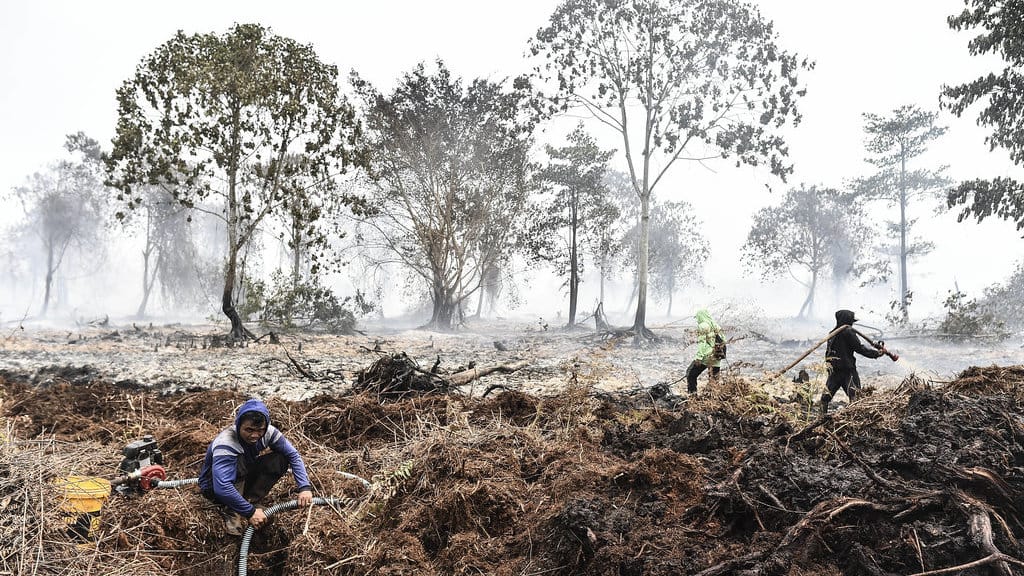 Warga memadamkan kebakaran hutan dan lahan (karhutla) di lahan gambut Desa Rawasari, Tanjung Jabung Timur, Jambi, Rabu (26/8/2026). Upaya pemadaman di lahan gambut yang terjadi sejak Selasa (25/8) sore dan telah menghanguskan 7 hektare lahan itu terus dimaksimalkan oleh tim gabungan dari TNI/Polri, Masyarakat Peduli Api, Manggala Agni, Satpol PP, petugas kecamatan, dan warga. ANTARA FOTO/Wahdi Septiawan/nz. Pemadaman karhutla di Tanjung Jabung Timur