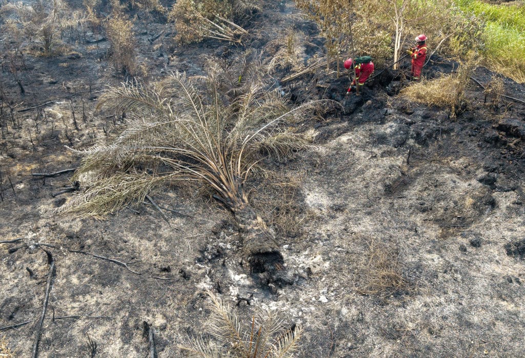 Foto udara Petugas dari Manggala Agni Daops Sumatera IX-Kota Jambi melakukan pemadaman kebakaran lahan gambut di Desa Kota Bumi, Kecamatan Tanjung Lubuk, Kabupaten Ogan Komering Ilir (OKI), Sumatera Selatan, Rabu (26/8/2026). ANTARA FOTO/Nova Wahyudi/nym. Pemadaman kebakaran lahan gambut di Kabupaten OKI