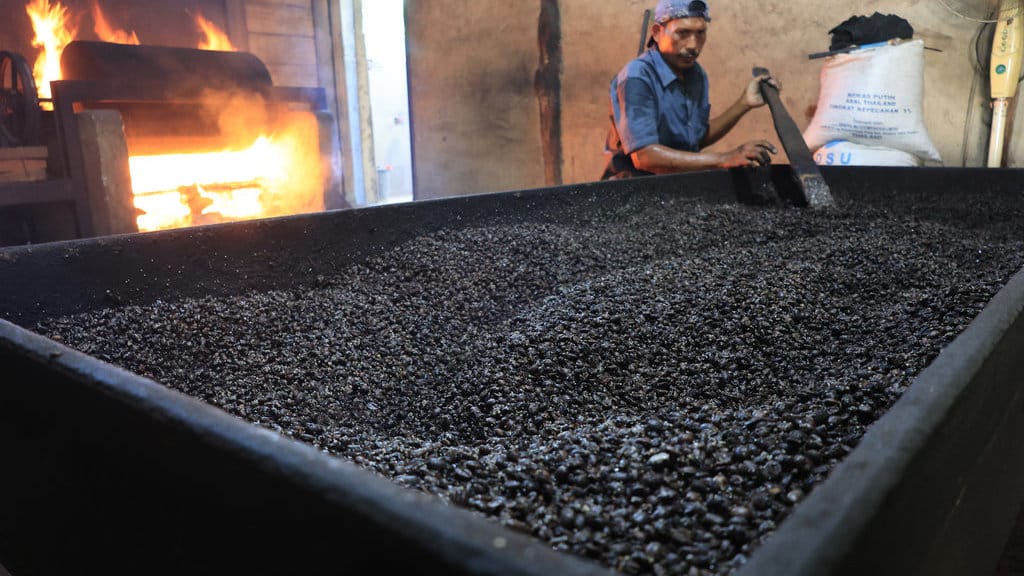 Pekerja mendinginkan biji kopi robusta setelah proses penyangraian di salah satu tempat produksi kopi tradisional Desa Lueng Ie, Krueng Barona Jaya, Aceh Besar, Aceh, Rabu (26/8/2026). Pelaku usaha mengaku dalam sehari mampu memproduksi dan mengolah biji kopi robusta secara manual atau tradisional sebanyak 200 kg yang kemudian dikirim ke berbagai daerah dan Provinsi di Aceh, Sumatera Utara dan Pulau Jawa dengan harga jual berkisar Rp90.000 hingga Rp160.000 per kg tergantung kualitas biji dan bubuk kopi. ANTARA FOTO/Syifa Yulinnas/nz. Produksi dan pengolahan kopi secara tradisional di Aceh