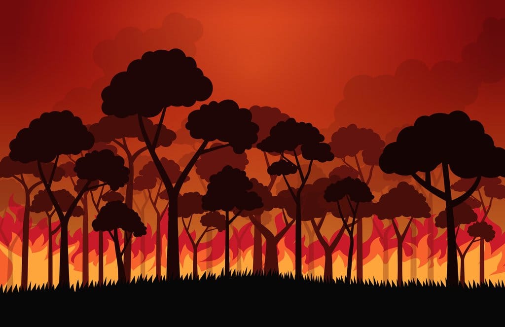 Ilustrasi Kebakaran Hutan. foto/Istockphoto Ilustrasi Kebakaran Hutan