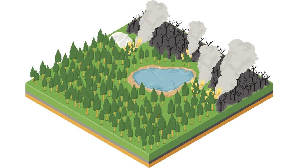 Ilustrasi Kebakaran Hutan. foto/Istockphoto Ilustrasi Kebakaran Hutan