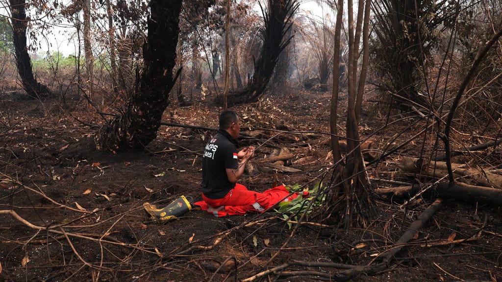 Personel Manggala Agni Daops Kalimantan VIII/Pontianak menjalankan shalat di lokasi lahan gambut yang terbakar di Sekunder C, Rasau Jaya 3, Kabupaten Kubu Raya, Kalimantan Barat, Kamis (27/8/2026). Kementerian Kehutanan mengerahkan 758 personel Manggala Agni yang diperkuat 45 personel tambahan dari Jawa, Sulawesi, dan Kalimantan Selatan untuk mendukung penanganan kebakaran hutan dan lahan (karhutla), khususnya di Kalimantan Barat dan Kalimantan Tengah. ANTARA FOTO/Jessica Wuysang/foc. Kemenhut kerahkan personel tambahan tangani karhutla