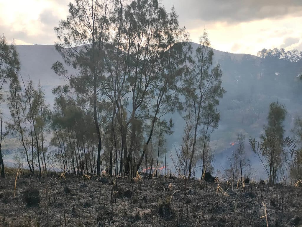 Kebakaran lahan melanda kawasan Kawah Wurung, Kabupaten Bondowoso, Jawa Timur, sejak Rabu (26/8/2026) kemarin. foto/BPBD Bondowoso/Jemberyangitu Karhutla Bondowoso