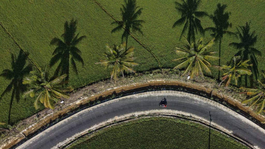 Foto udara kendaraan roda dua melintasi jalan pertanian yang telah rampung di aspal di kawasan persawahan Amohalo, Kecamatan Baruga, Kendari, Sulawesi Tenggara, Senin (31/8/2026). Pemkot Kendari merampungkan pengaspalan jalan pertanian sepanjang 1,7 kilometer dengan anggaran sebesar Rp4,8 miliar guna memperlancar akses distribusi hasil pertanian di wilayah yang menjadi lumbung padi Kota Kendari itu. ANTARA FOTO/Andry Denisah/agr Pengaspalan jalan pertanian di Kendari