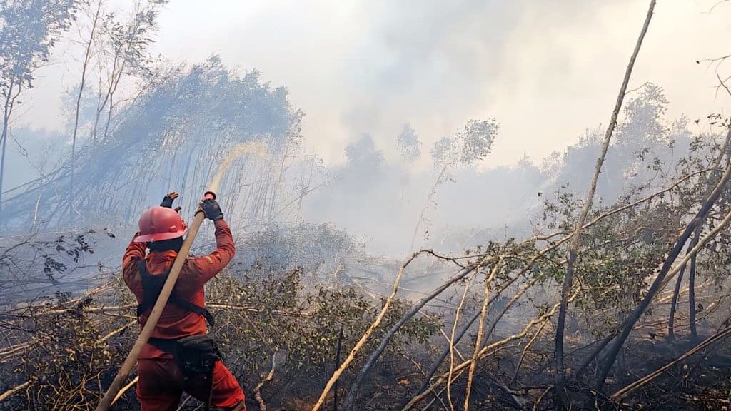 Tim pemadam melakukan pemadaman karhutla di wilayah Sumsel. FOTO/Manggala Agni Tim pemadam melakukan pemadaman karhutla di wilayah Sumsel