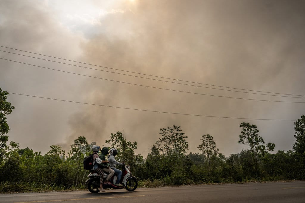 Pengendara sepeda motor melintas di Jalan Gubernur Syarkawi yang tertutup kabut asap akibat kebakaran hutan dan lahan (karhutla) di Kabupaten Banjar, Kalimantan Selatan, Rabu (2/9/2026). Kabut asap akibat karhutla berdampak pada terbatasnya jarak pandang bagi pengguna jalan nasional yang menjadi jalur penghubung Provinsi Kalimantan Selatan dan Kalimantan Tengah. ANTARA FOTO/Bayu Pratama S/nym. Dampak kabut asap dari karhutla di Kalsel