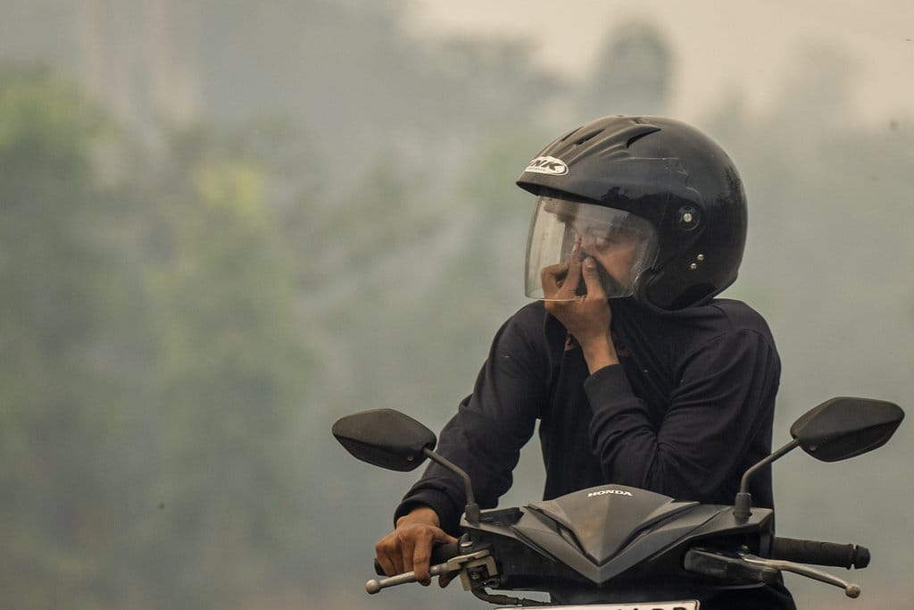 Pengendara sepeda motor melintas di Jalan Gubernur Syarkawi yang tertutup kabut asap akibat kebakaran hutan dan lahan (karhutla) di Kabupaten Banjar, Kalimantan Selatan, Rabu (2/9/2026). Kabut asap akibat karhutla berdampak pada terbatasnya jarak pandang bagi pengguna jalan nasional yang menjadi jalur penghubung Provinsi Kalimantan Selatan dan Kalimantan Tengah. ANTARA FOTO/Bayu Pratama S/nym. Dampak kabut asap dari karhutla di Kalsel