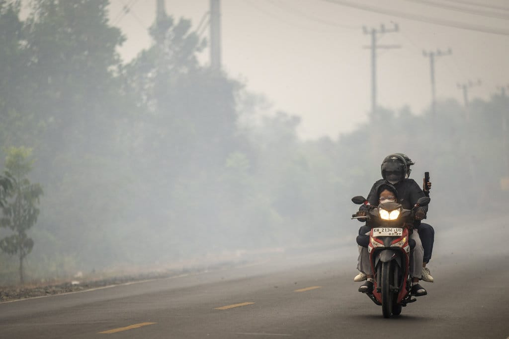 Pengendara sepeda motor melintas di Jalan Gubernur Syarkawi yang tertutup kabut asap akibat kebakaran hutan dan lahan (karhutla) di Kabupaten Banjar, Kalimantan Selatan, Rabu (2/9/2026). Kabut asap akibat karhutla berdampak pada terbatasnya jarak pandang bagi pengguna jalan nasional yang menjadi jalur penghubung Provinsi Kalimantan Selatan dan Kalimantan Tengah. ANTARA FOTO/Bayu Pratama S/nym. Dampak kabut asap dari karhutla di Kalsel