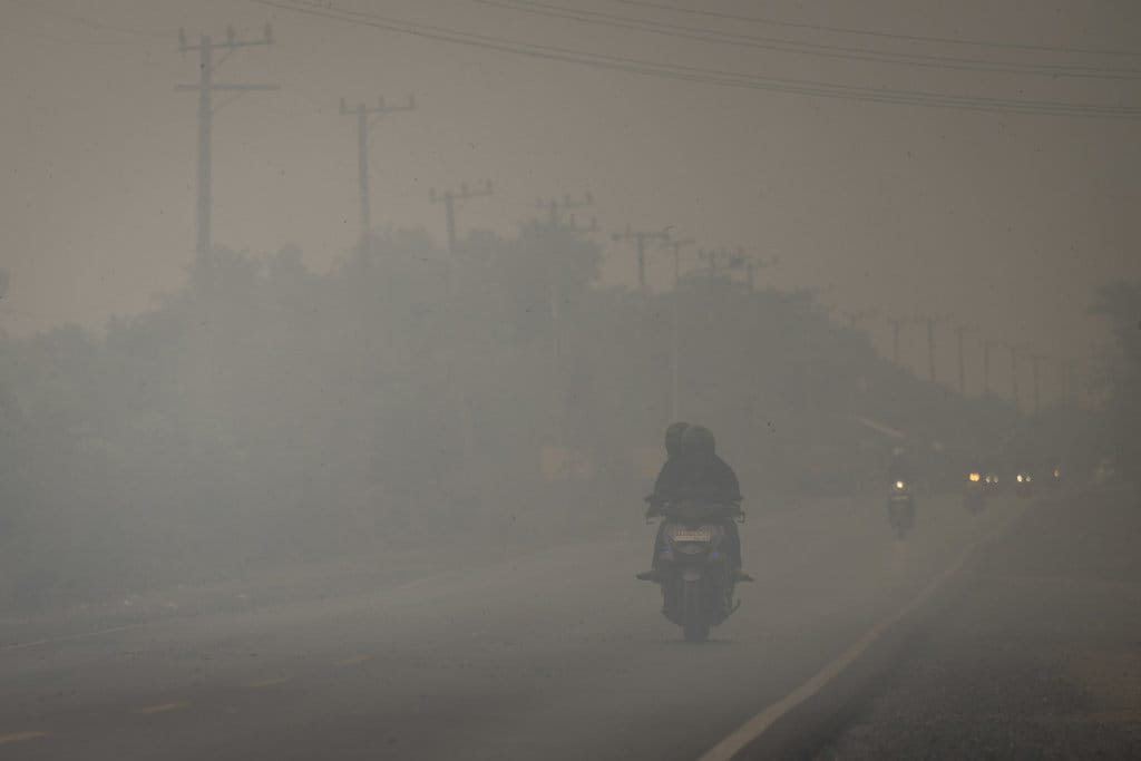 Pengendara sepeda motor melintas di Jalan Gubernur Syarkawi yang tertutup kabut asap akibat kebakaran hutan dan lahan (karhutla) di Kabupaten Banjar, Kalimantan Selatan, Rabu (2/9/2026). Kabut asap akibat karhutla berdampak pada terbatasnya jarak pandang bagi pengguna jalan nasional yang menjadi jalur penghubung Provinsi Kalimantan Selatan dan Kalimantan Tengah. ANTARA FOTO/Bayu Pratama S/nym. Dampak kabut asap dari karhutla di Kalsel