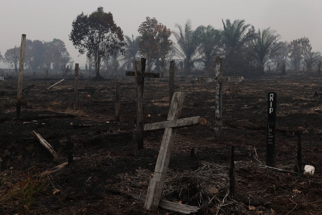 Suasana pascakebakaran hutan dan lahan di Pemakaman Katolik Dusun Lintang Batang, Desa Teluk Bakung, Kabupaten Kubu Raya, Kalimantan Barat, Rabu (2/9/2026). Belasan makam umat Katolik terbakar akibat rembetan kebakaran hutan dan lahan yang melanda wilayah tersebut pada Minggu (30/8/2026). ANTARA FOTO/Jessica Wuysang/nym. Karhutla membakar belasan makam Katolik