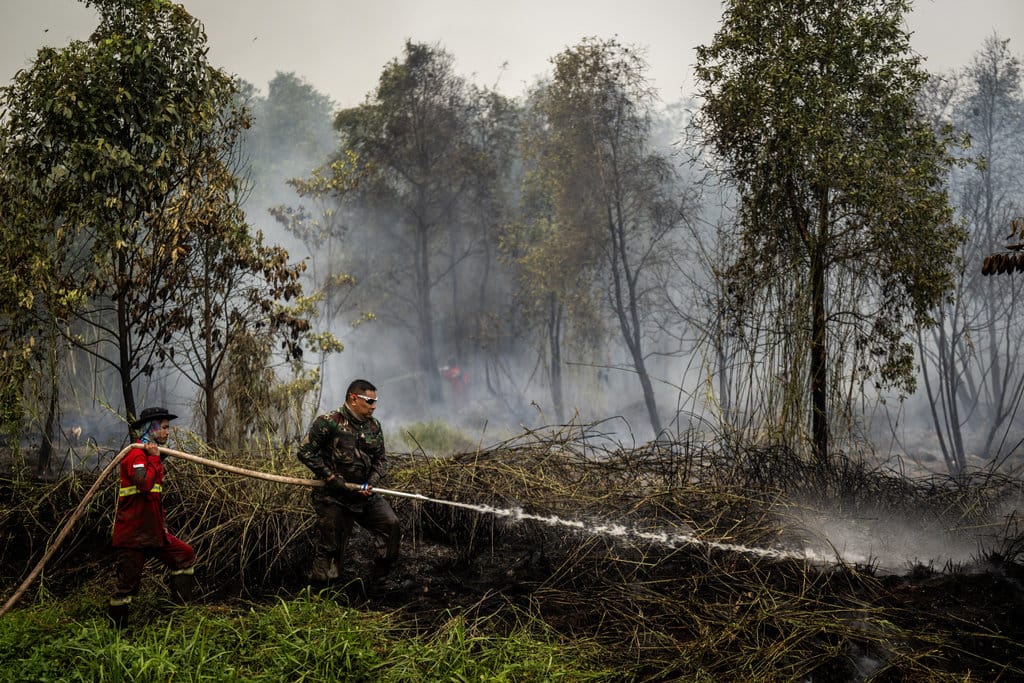 Prajurit TNI bersama anggota Manggala Agni berupaya memadamkan kebakaran hutan dan lahan (karhutla) di Hutan Lindung Liang Anggang, Banjarbaru, Kalimantan Selatan, Rabu (2/9/2026). Pemerintah mengerahkan sebanyak 12.880 personel gabungan dari unsur pemerintah dan masyarakat di tiga provinsi prioritas yaitu Kalimantan Barat sebanyak 1.410 personel, Kalimantan Tengah 10.700 personel dan 770 personel di Kalimantan Selatan untuk menangani karhutla di wilayah Kalimantan. ANTARA FOTO/Bayu Pratama S/nym. Penanganan karhutla di Kalimantan Selatan
