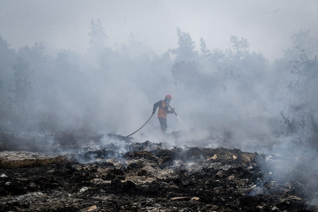 Petugas BPBD Kabupaten Banjar berupaya memadamkan kebakaran hutan dan lahan (karhutla) di lahan gambut, Kabupaten Banjar, Kalimantan Selatan, Rabu (2/9/2026). Pemerintah mengerahkan sebanyak 12.880 personel gabungan dari unsur pemerintah dan masyarakat di tiga provinsi prioritas yaitu Kalimantan Barat sebanyak 1.410 personel, Kalimantan Tengah 10.700 personel dan 770 personel di Kalimantan Selatan untuk menangani karhutla di wilayah Kalimantan. ANTARA FOTO/Bayu Pratama S/nym. Penanganan karhutla di Kalimantan Selatan