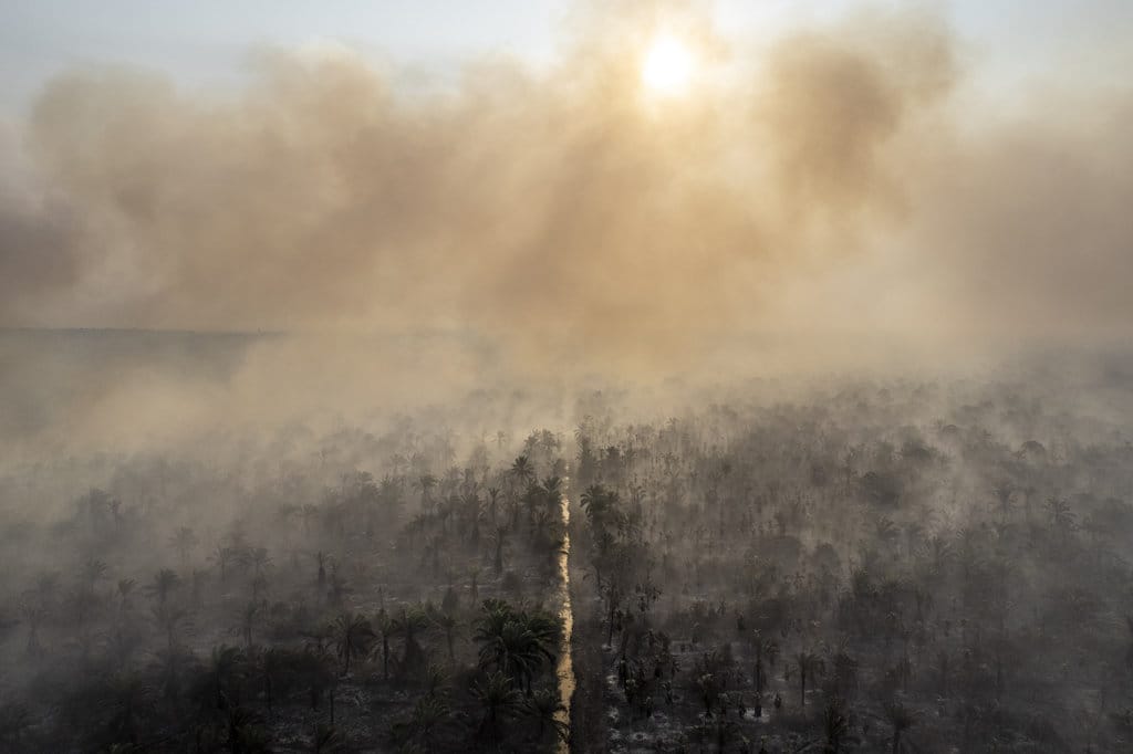 Foto udara asap membubung di lahan gambut yang terbakar di Sungai Gelam, Muaro Jambi, Jambi, Kamis (3/9/2026). ANTARA FOTO/Wahdi Septiawan/wsj. Karhutla di lahan gambut Muaro Jambi meluas