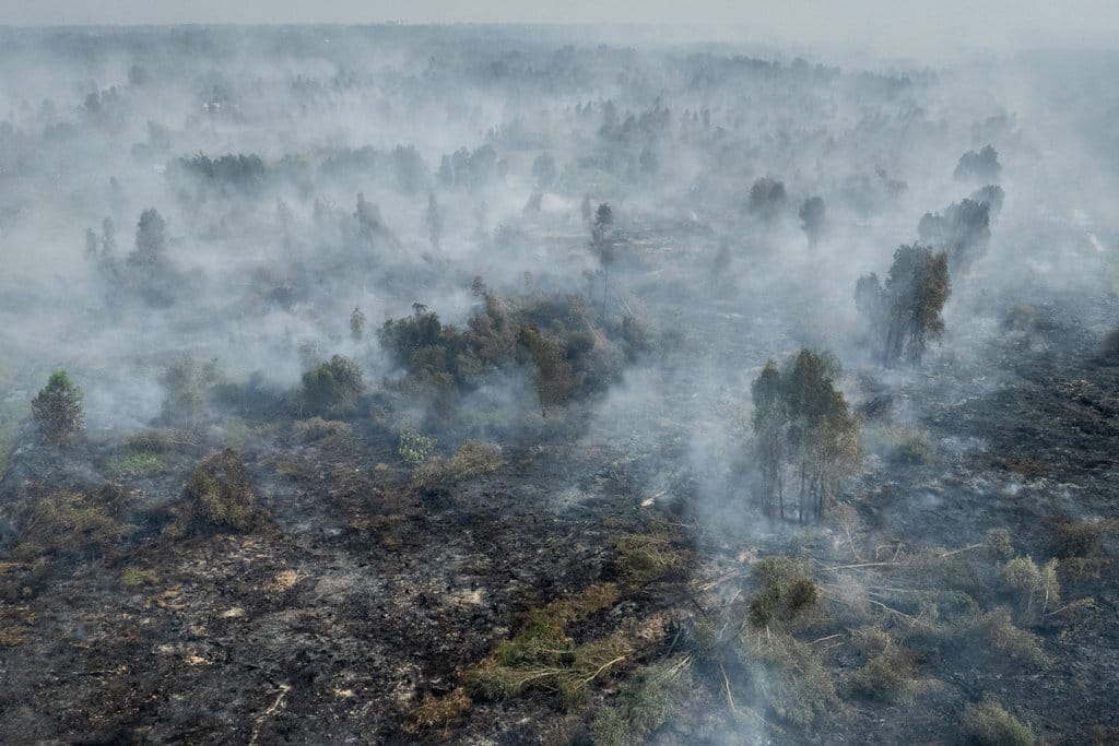Foto udara kebaran hutan dan lahan (karhutla) di Hutan Lindung Liang Anggang, Banjarbaru, Kalimantan Selatan, Kamis (3/9/2026). ANTARA FOTO/Bayu Pratama S/agr Luas lahan terdampak karhutla di Kalimantan Selatan
