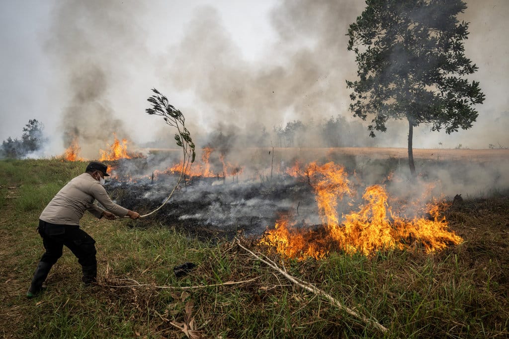 Polisi berupaya memadamkan kebaran hutan dan lahan (karhutla) di Banjarbaru, Kalimantan Selatan, Kamis (3/9/2026). ANTARA FOTO/Bayu Pratama S/agr Luas lahan terdampak karhutla di Kalimantan Selatan
