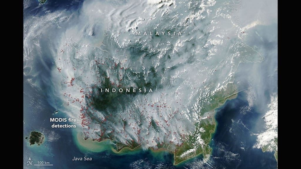 Citra satelit MODIS milik NASA di atas menunjukkan gumpalan asap tebal akibat kebakaran hutan dan lahan (karhutla) serta titik-titik api (titik merah) yang menyelimuti Pulau Kalimantan dan sebagian wilayah Malaysia. (Sumber: X/@NASAEarth) Citra Satelit MODIS NASA