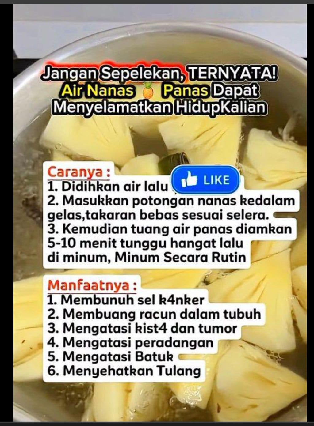 periksa fakta Nanas Panas Sembuhkan Kanker. periksa fakta Nanas Panas Sembuhkan Kanker