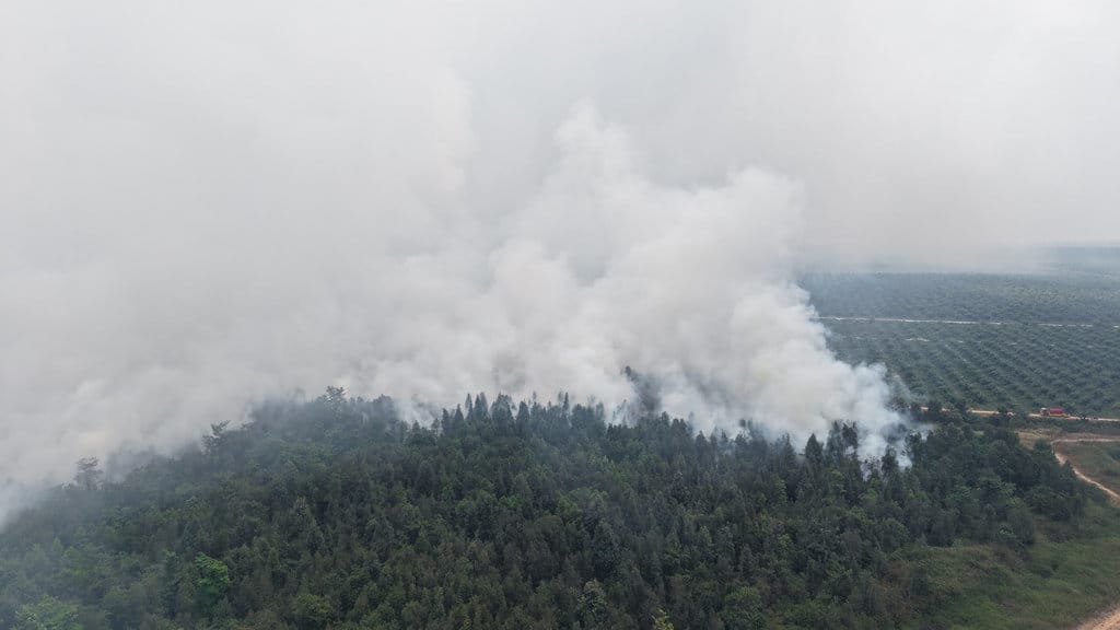 Karhutla di Kebun Raya Sriwijaya di Ogan Ilir, Sumsel, Jumat (4/9/2026). FOTO/Manggala Agni Karhutla Ogan Ilir
