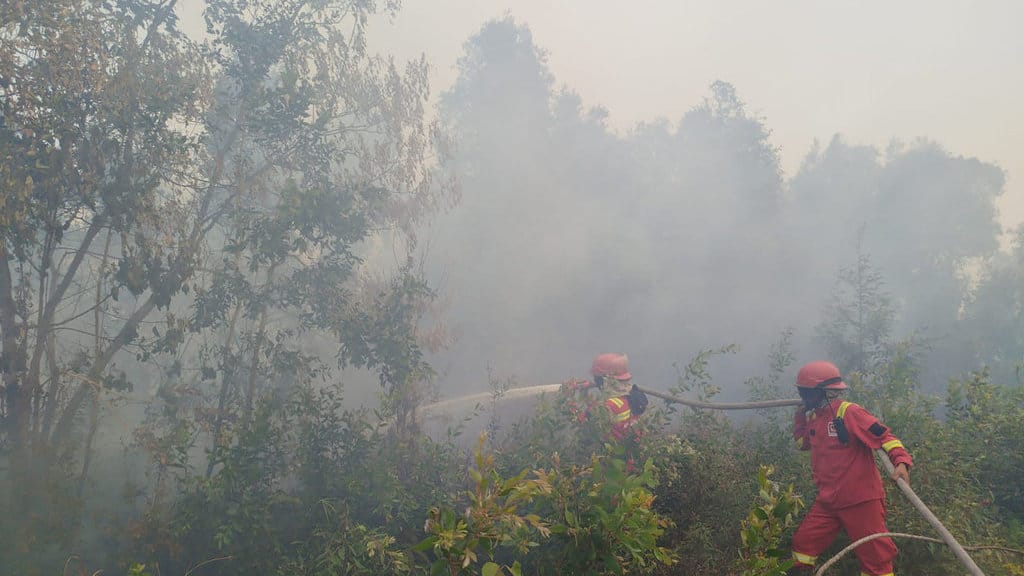 Karhutla di Kebun Raya Sriwijaya di Ogan Ilir, Sumsel, Jumat (4/9/2026). FOTO/Manggala Agni Karhutla Ogan Ilir