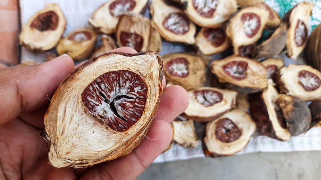 Buah pinang. FOTO/iStockphoto Buah pinang