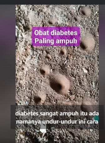 Periksa Undur Undur Obat Diabetes. foto/hotline periksa fakta tirto Periksa Undur Undur Obat Diabetes