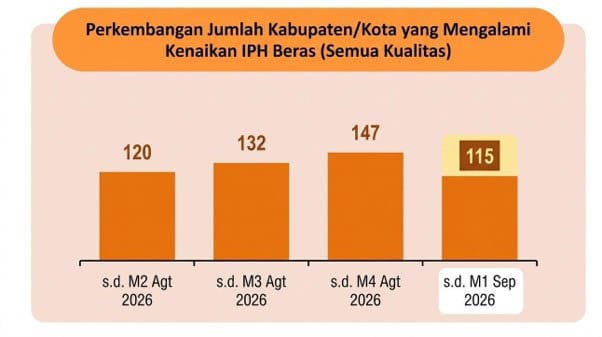 Grafik Perkembangan Kota yang Mengalami Kenaikan IPH Beras. Foto/. Dok. Rakornas pengendalian inflasi Grafik Perkembangan Kota yang Mengalami Kenaikan IPH Beras