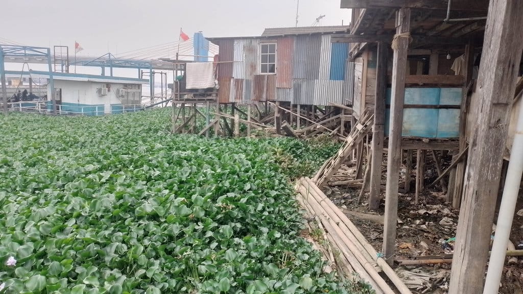 Debit Sungai Musi Palembang berkurang dampak musim kemarau panjang, Rabu (23/9/2026). FOTO/Irwanto Sungai Musi Palembang