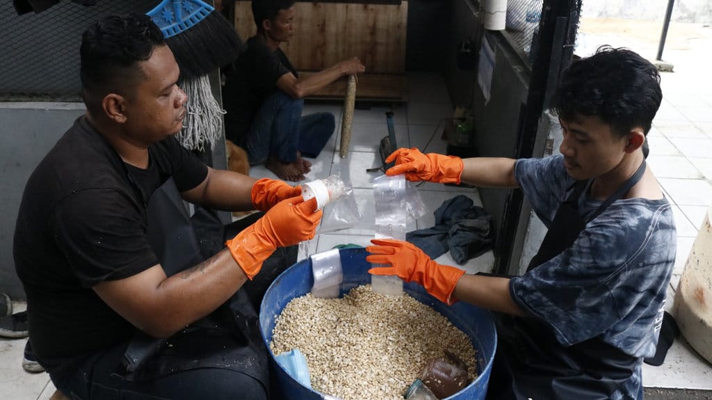 Program pembinaan kemandirian warga binaan melalui kegiatan produktif Rutan Kelas I Cipinang. Foto/Dok. Rutan Cipinang. Program pembinaan Rutan Cipinang