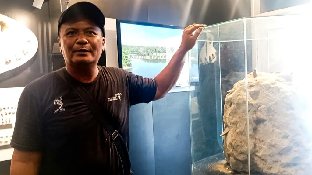 Mansyur, Pengelola Museum Megalodon, Senin (28/9/2026). FOTO/Akmal Firmansyah Newsplus Museum Megalodon Gunungsungging