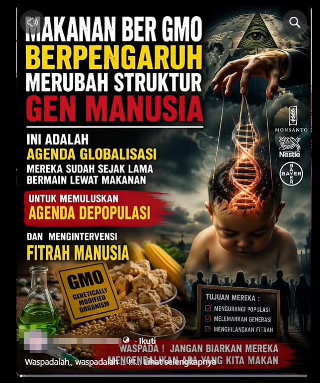 Periksa Fakta Makanan berGMO mengubah struktur gen manusia. foto/hotline periksa fakta tirto Periksa Fakta Makanan berGMO