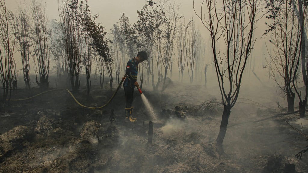Petugas berupaya memadamkan kebakaran lahan yang mendekati kawasan permukiman warga di Kecamatan Jekan Raya, Palangka Raya, Kalimantan Tengah, Jumat (9/10/2026). Badan Penanggulangan Bencana Daerah Kota Palangka Raya menyebutkan sejak penetapan status siaga darurat kebakaran hutan dan lahan (karhutla) pada 1 Juni hingga 8 Oktober 2026 total luas karhutla telah mencapai 1407,75 hektare dalam 832 kejadian kebakaran. ANTARA FOTO/Auliya Rahman/wsj. Karhutla di Palangka Raya meluas