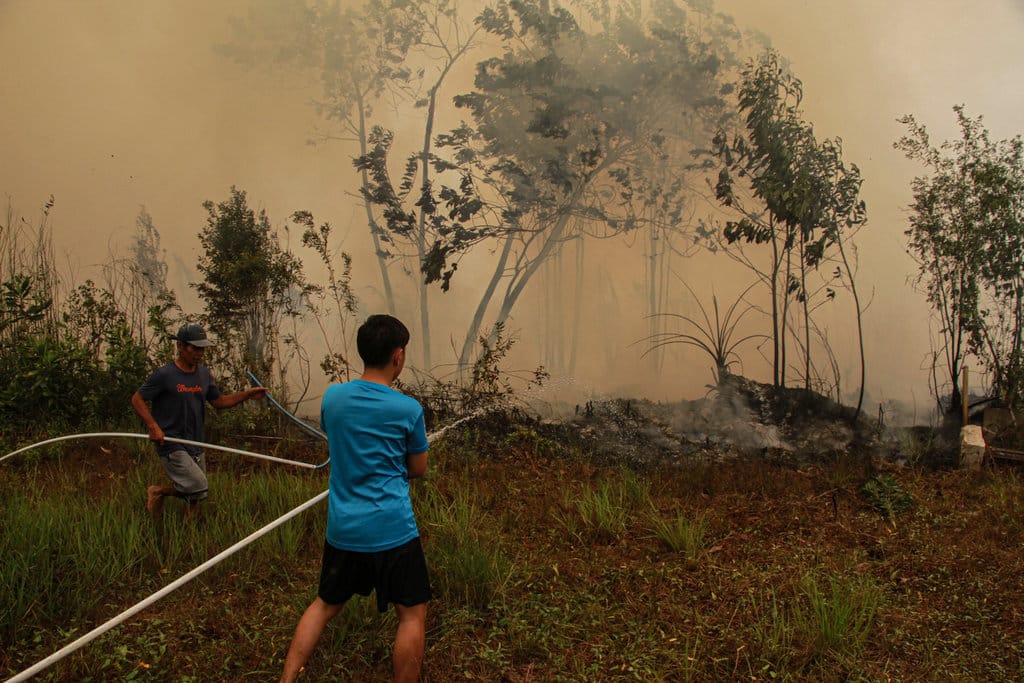 Warga berupaya memadamkan kebakaran lahan yang mendekati kawasan permukiman di Kecamatan Jekan Raya, Palangka Raya, Kalimantan Tengah, Jumat (9/10/2026). Badan Penanggulangan Bencana Daerah Kota Palangka Raya menyebutkan sejak penetapan status siaga darurat kebakaran hutan dan lahan (karhutla) pada 1 Juni hingga 8 Oktober 2026 total luas karhutla telah mencapai 1407,75 hektare dalam 832 kejadian kebakaran. ANTARA FOTO/Auliya Rahman/wsj. Karhutla di Palangka Raya meluas