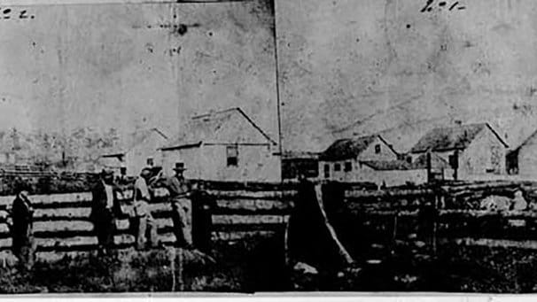 Pigwar 1859. FOTO/en.wikipedia.org/ Pigwar 1859